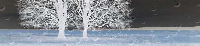banner1.jpg