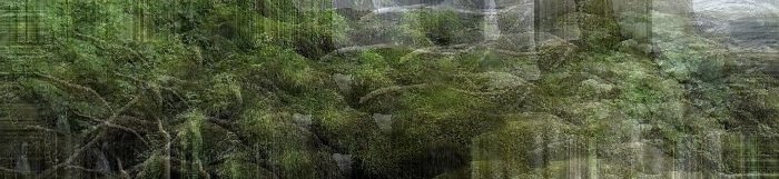 banner10.jpg