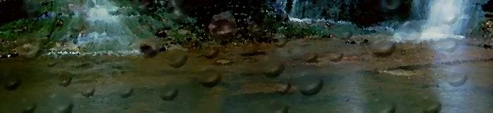 banner11.jpg