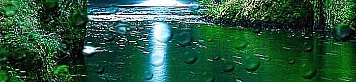 banner14.jpg