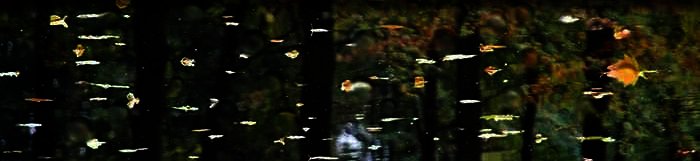 banner3.jpg