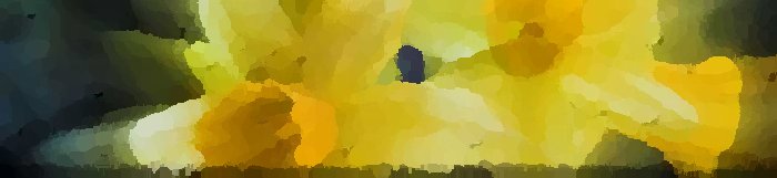 banner4.jpg