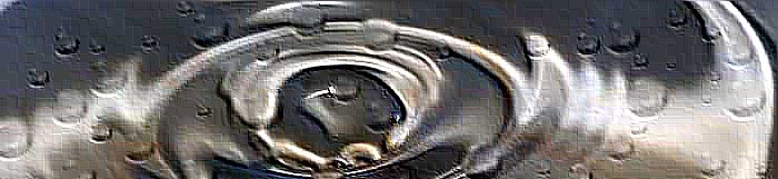 banner8.jpg